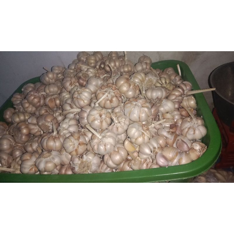 

BAWANG PUTIH