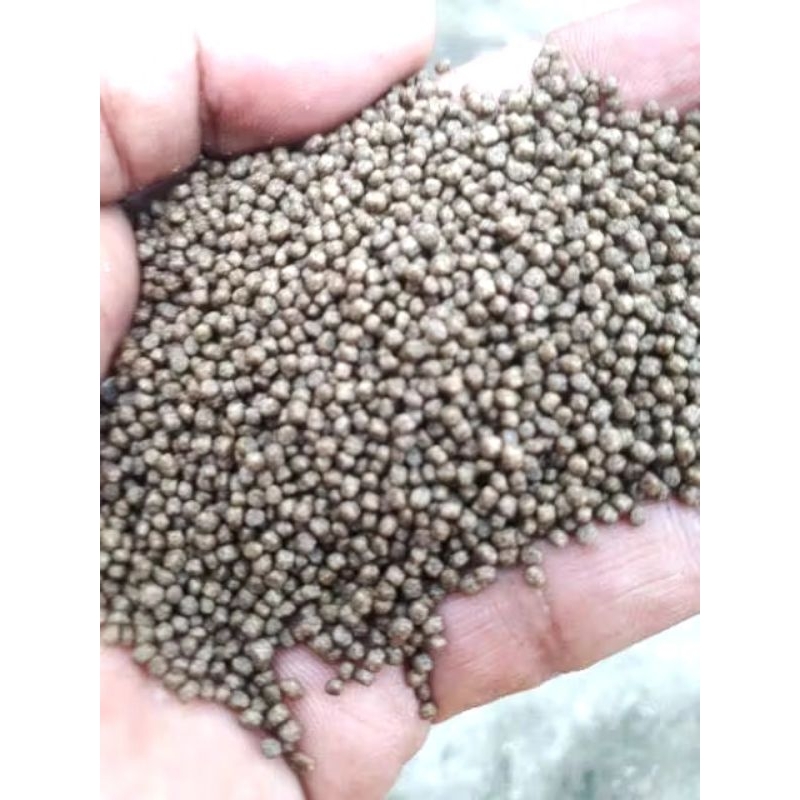 Pakan benih ikan / pakan ikan hias PF1000 repack