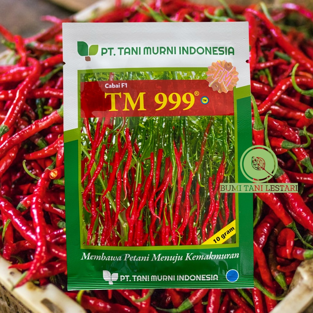 Benih Cabai Keriting F1 TM 999 10gram | Benih Cabe Keriting TM999