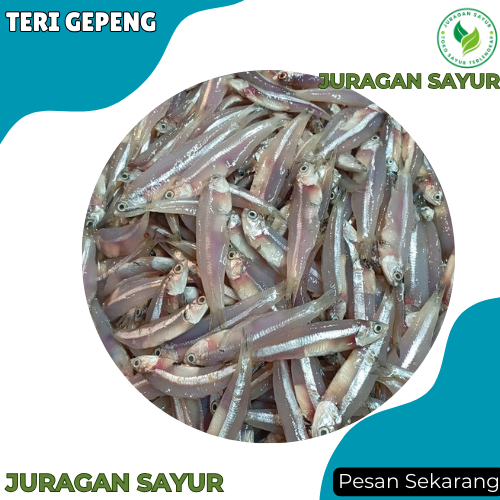 

Ikan Teri Gepeng Basah - Ikan Teri Gepeng Segar - Ikan Segar Terdekat - Juragan Sayur