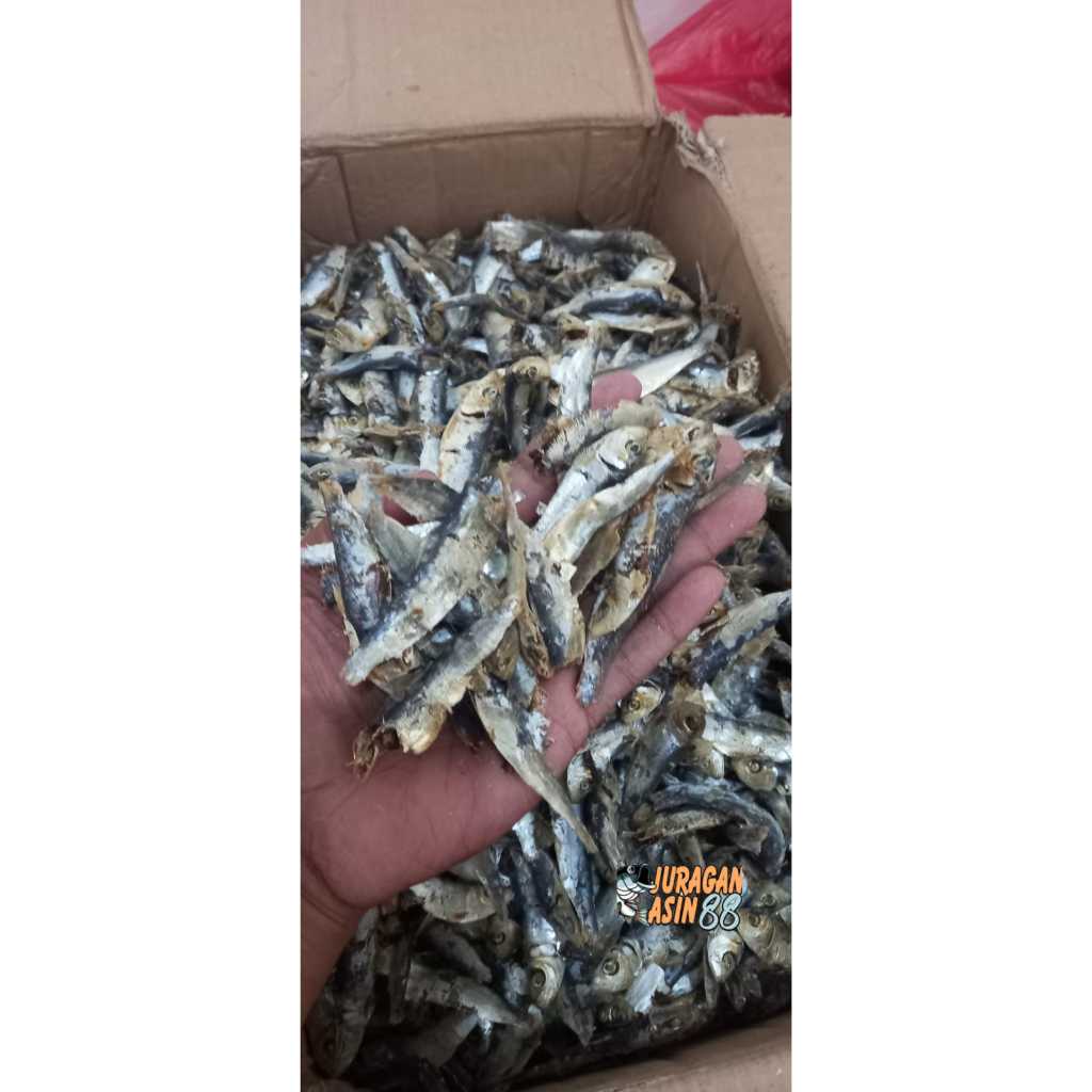 

COD ikan asin ninis rebus /tembang rebus murah gratis ongkir bayar di tempat