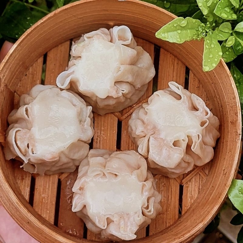 

dimsum mozarella frozen isi 10 pcs