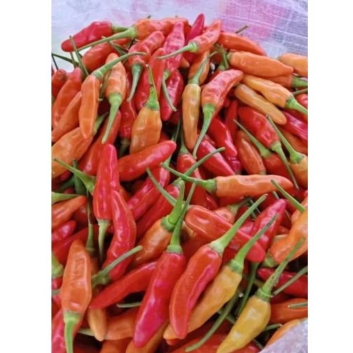 

INSTAN - CABE / CABAI RAWIT MERAH 500GRAM