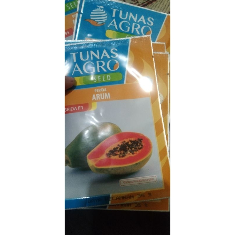 BENIH PEPAYA ARUM F1 ASLI TUNAS AGRO PEPAYA HAWAI