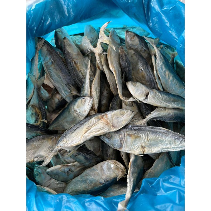 

IKAN ASIN KEMBUNG 250 GR - IKAN ASIN GEMBUNG - IKAN ASIN LEMAK - MAKANAN KHAS - IKAN ASIN LEMAK - IKAN ASIN ENAK