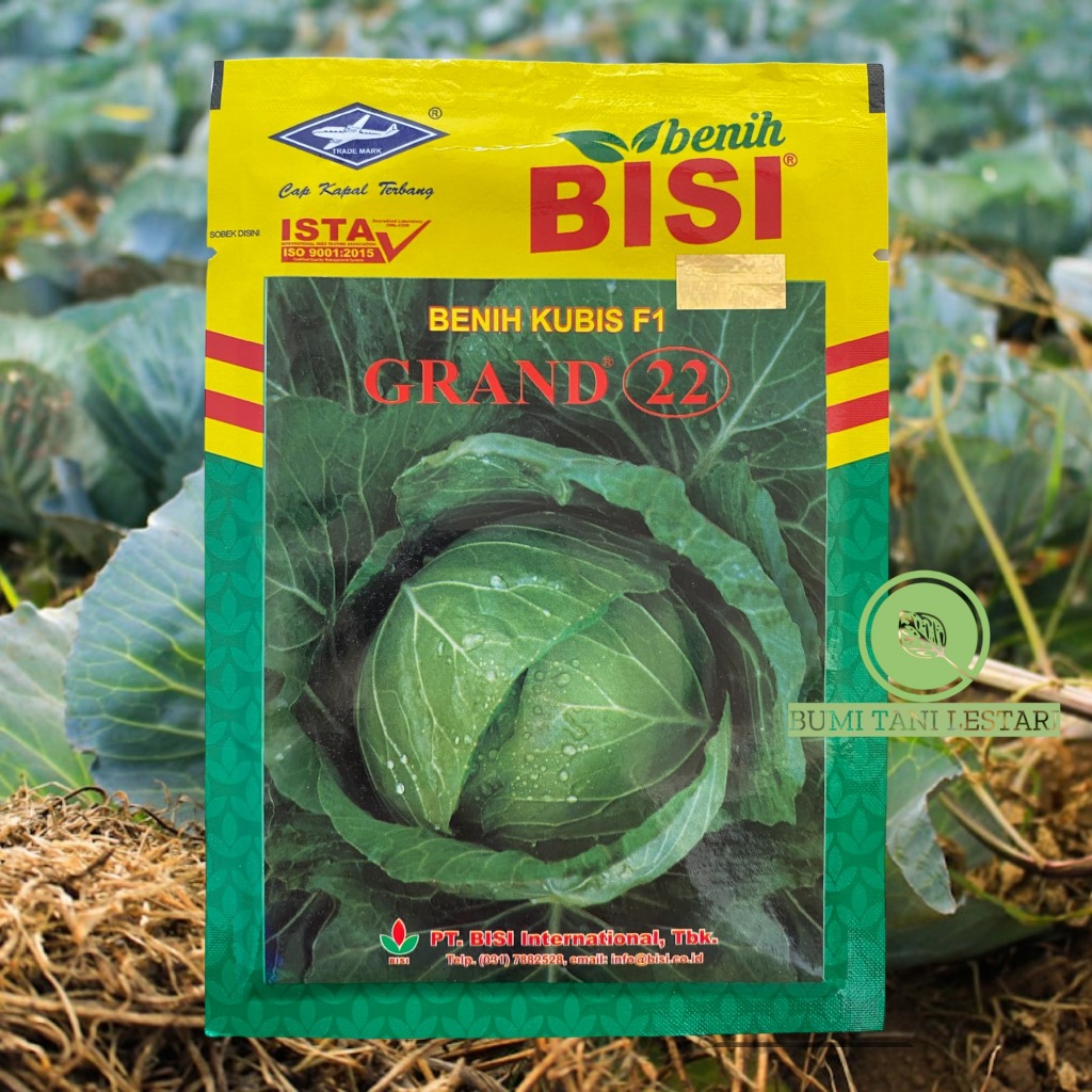Benih Kubis F1 GRAND 22 15gram | Benih Kubis Hibrida GRAND 22 BISI Cap Kapal Terbang