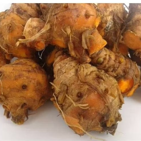 

Kunyit Biang/Biang Kunyit/Kepala Kunyit 500gr