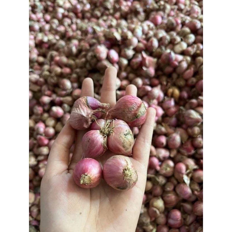 

BAWANG MERAH 500g