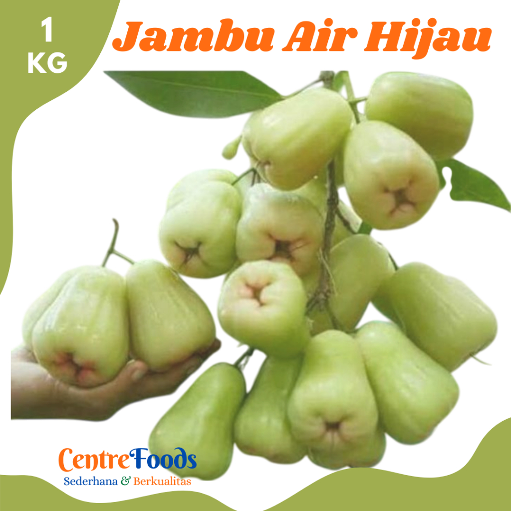 

JAMBU AIR Hijau - Buah Jambu Air Hijau Deli Fresh | 1.000gr [ Harga Per KG ]