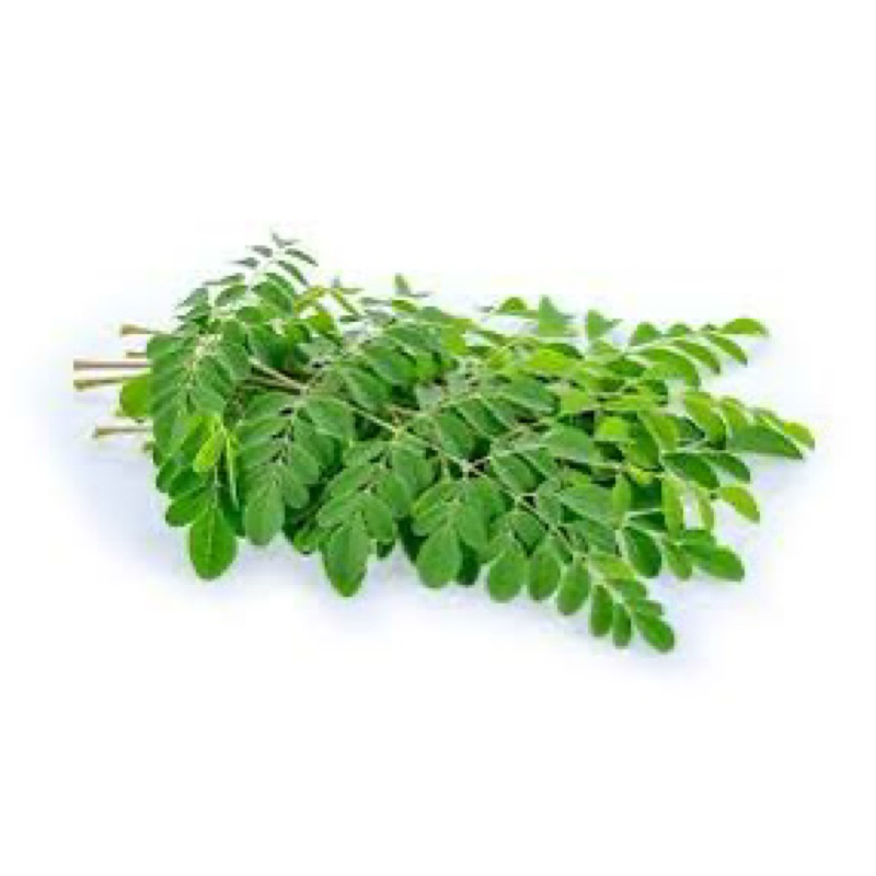 

1 Ikat daun kelor segar