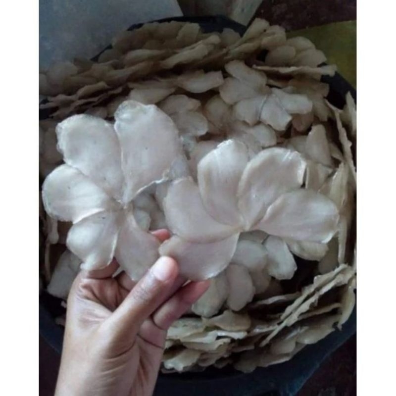 

Kerupuk Ikan Kipas (Super) Khas Besuki 100% Handmade (1kg)