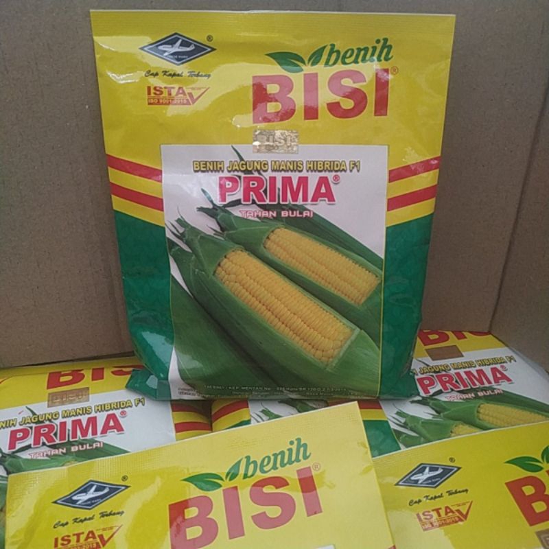 bibit jagung manis prima 250 grm benih jagung manis hibrida f1 prima