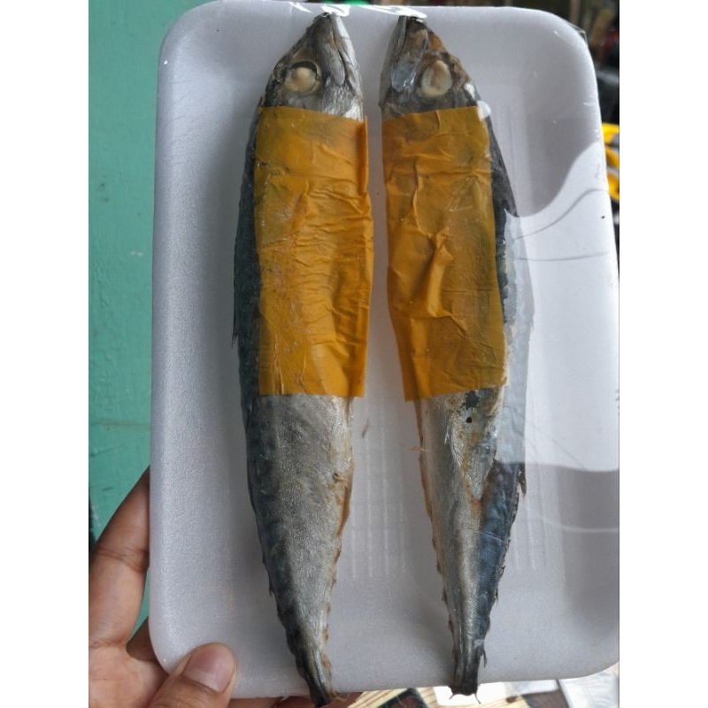 

pindang tongkol isi 2 pcs
