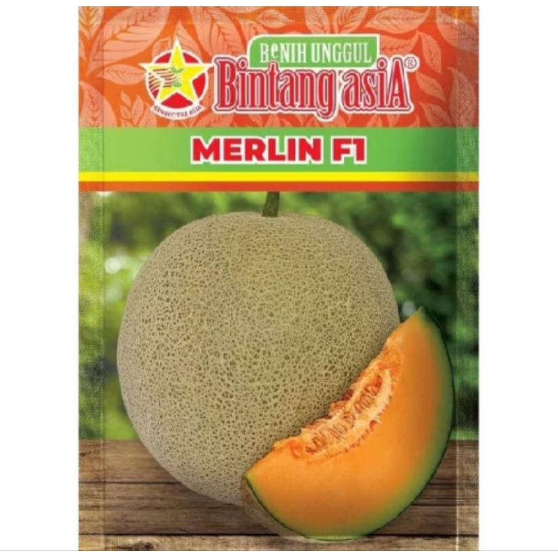 10 Biji Bibit Buah Melon Merlin F1 Original