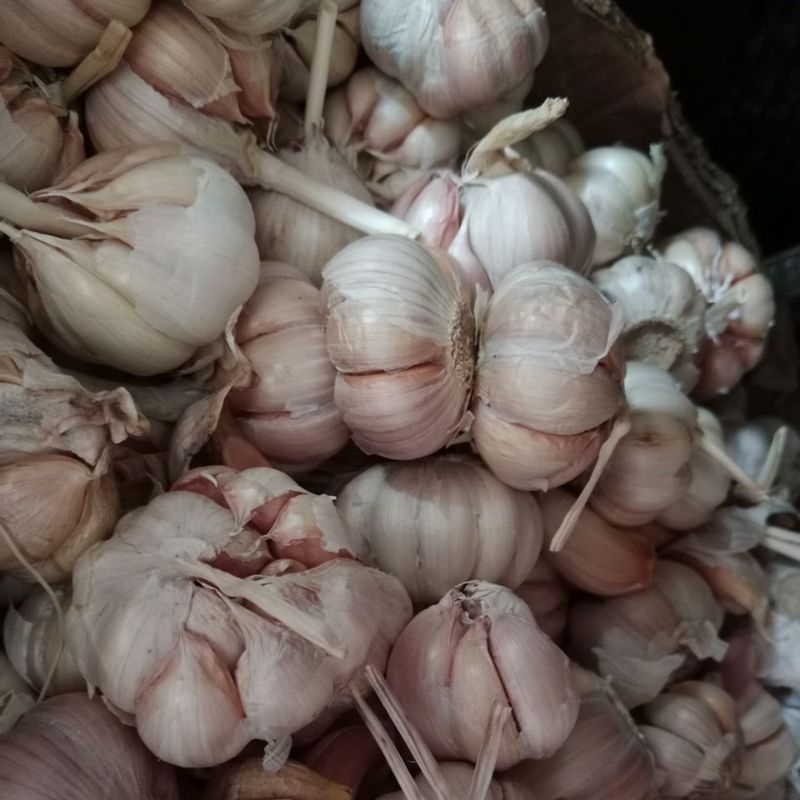 

Bawang putih bersih 250gr