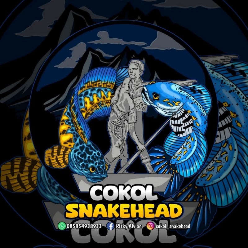 stiker Channa cokol snakehead fish