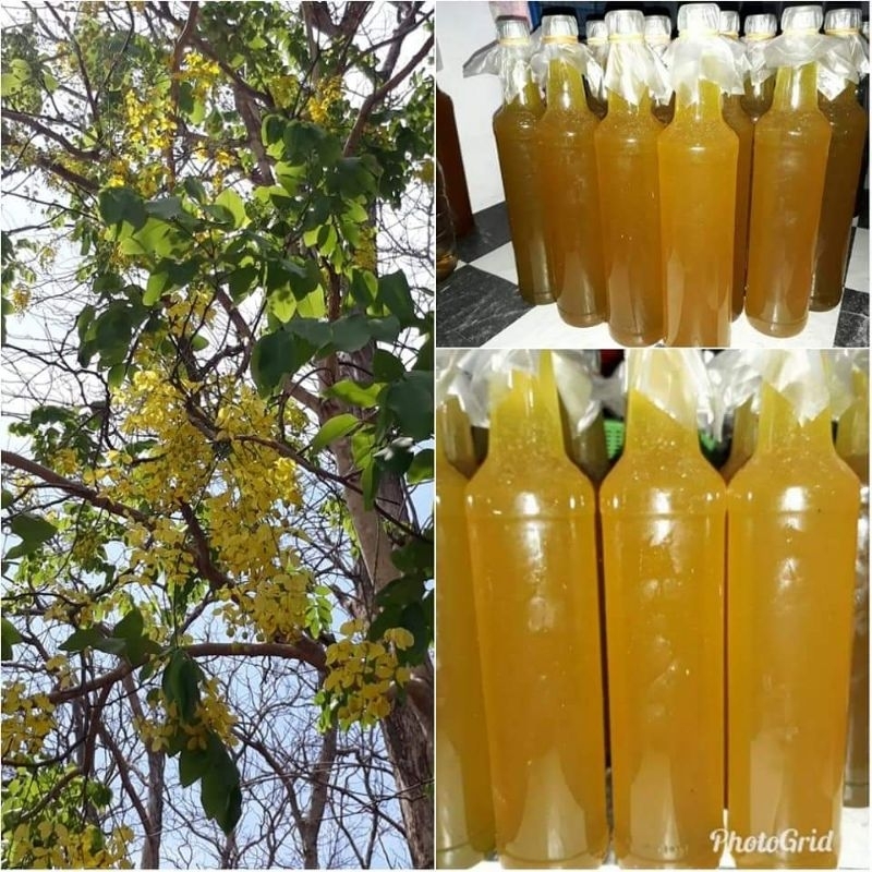 

Madu hutan