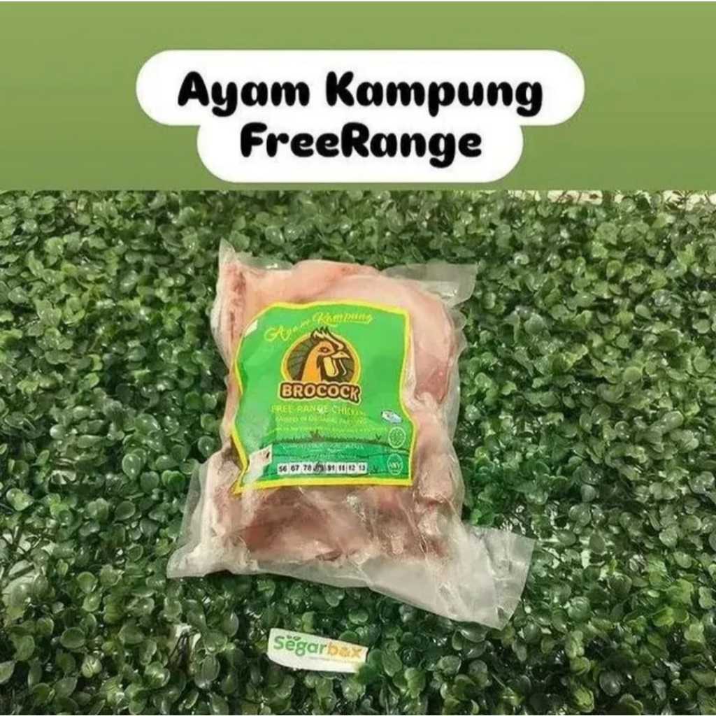 

Ayam Kampung Freerange Brocock 1 Ekor - Segarbox