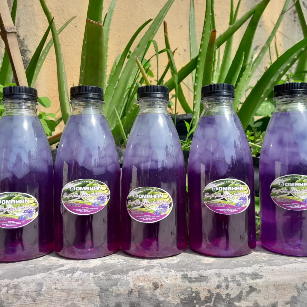 

minuman segar telang dan lidah buaya MAMULKIT