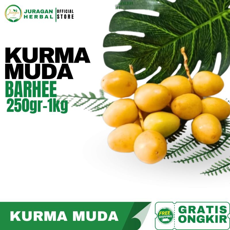 

KURMA MUDA KUNING Barhee 250 gram - 1 kg | ANJURAN UNTUK PROMIL