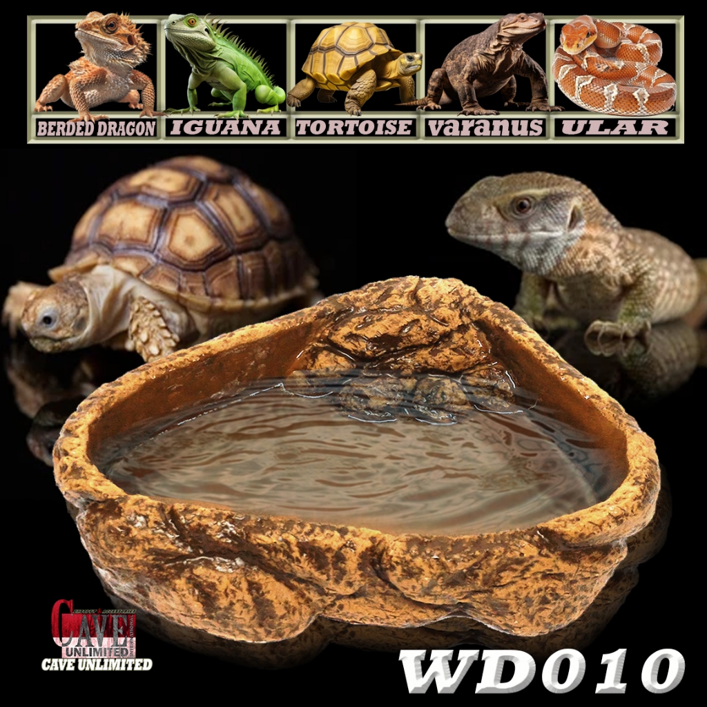 WD010 WATER DISH FEEDINGDISH WADAH MAKANAN MINUMAN ULAR CORNSNAKE BALLPHYTON BEARDED DRAGON BD DUNNE