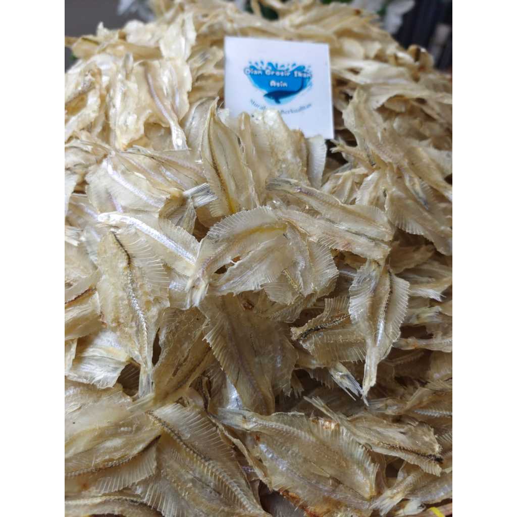 

Grosir Ikan Asin Dian-IKAN ASIN LAPAN AMIGO/IKAN ASIN KALAPAN/IKAN ASIN KERUPUK 1kg