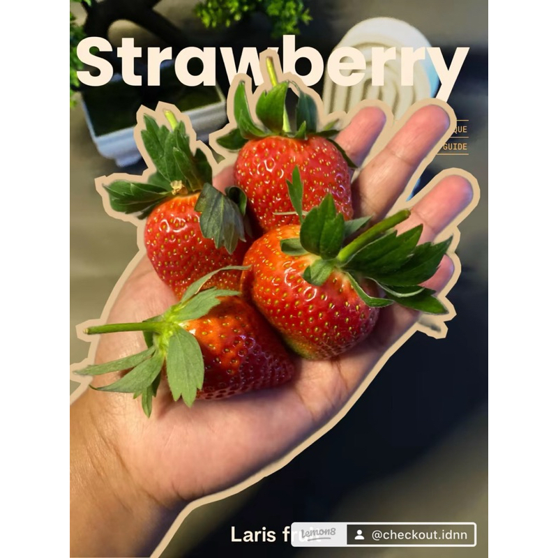 

Strawberry fresh 500g mix