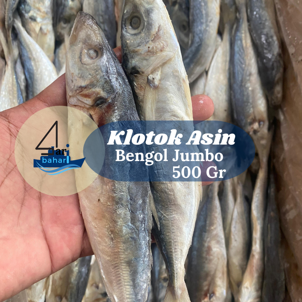 

Ikan Asin Klotok Benggol Jumbo 500 Gr Daging Banyak Besar