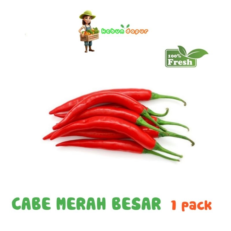 

CABE MERAH BESAR FRESH Harga eceran -Kebun Dapur-