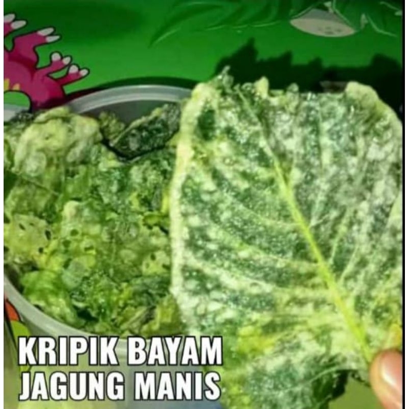 

KERIPIK BAYAM CRISPY 150 GRAM RASA JAGUNG MANIS