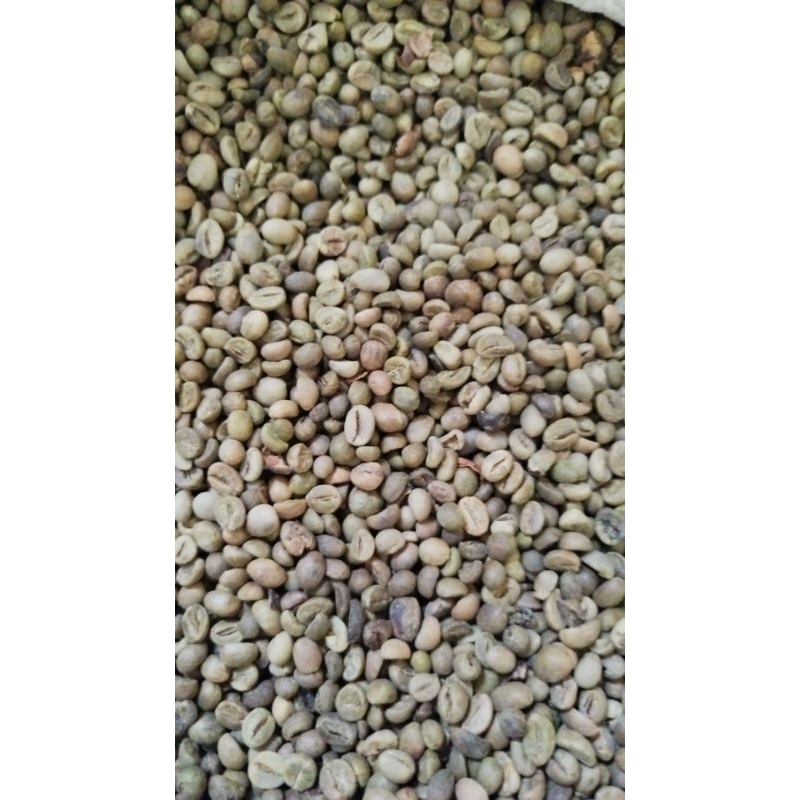 

Robusta Pupuan Bali - Asalan