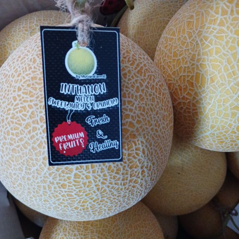 

Melon Inthanon premium manis