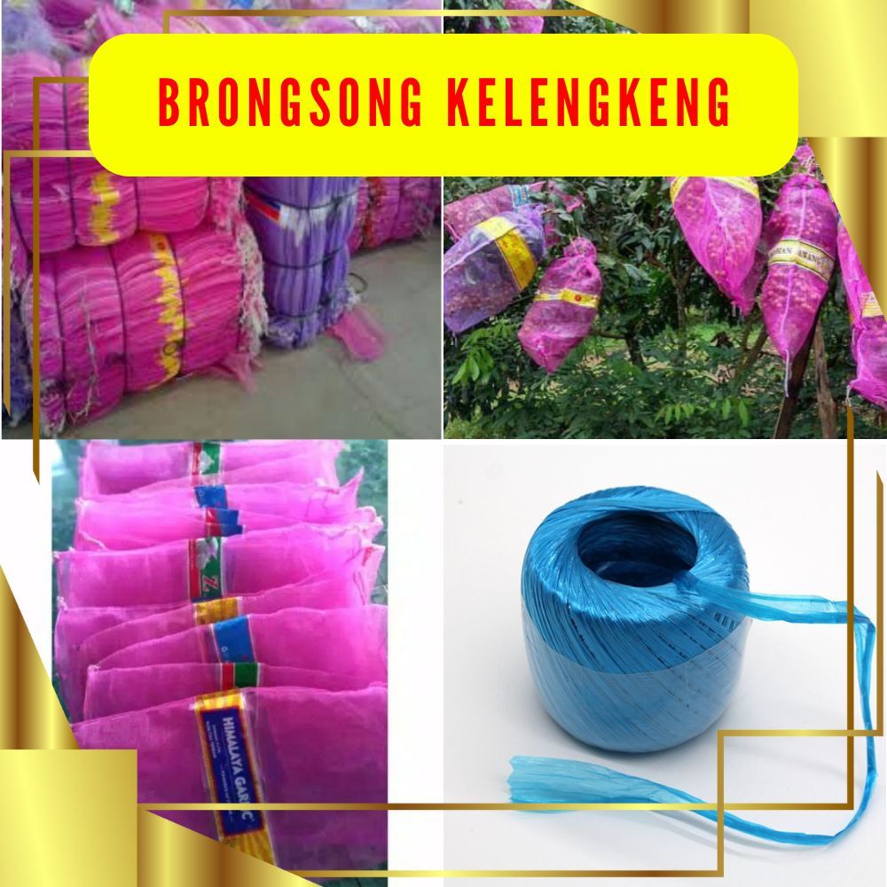 TERLARIS. Brongsong Kelengkeng Dengan Tali Isi 10pcs