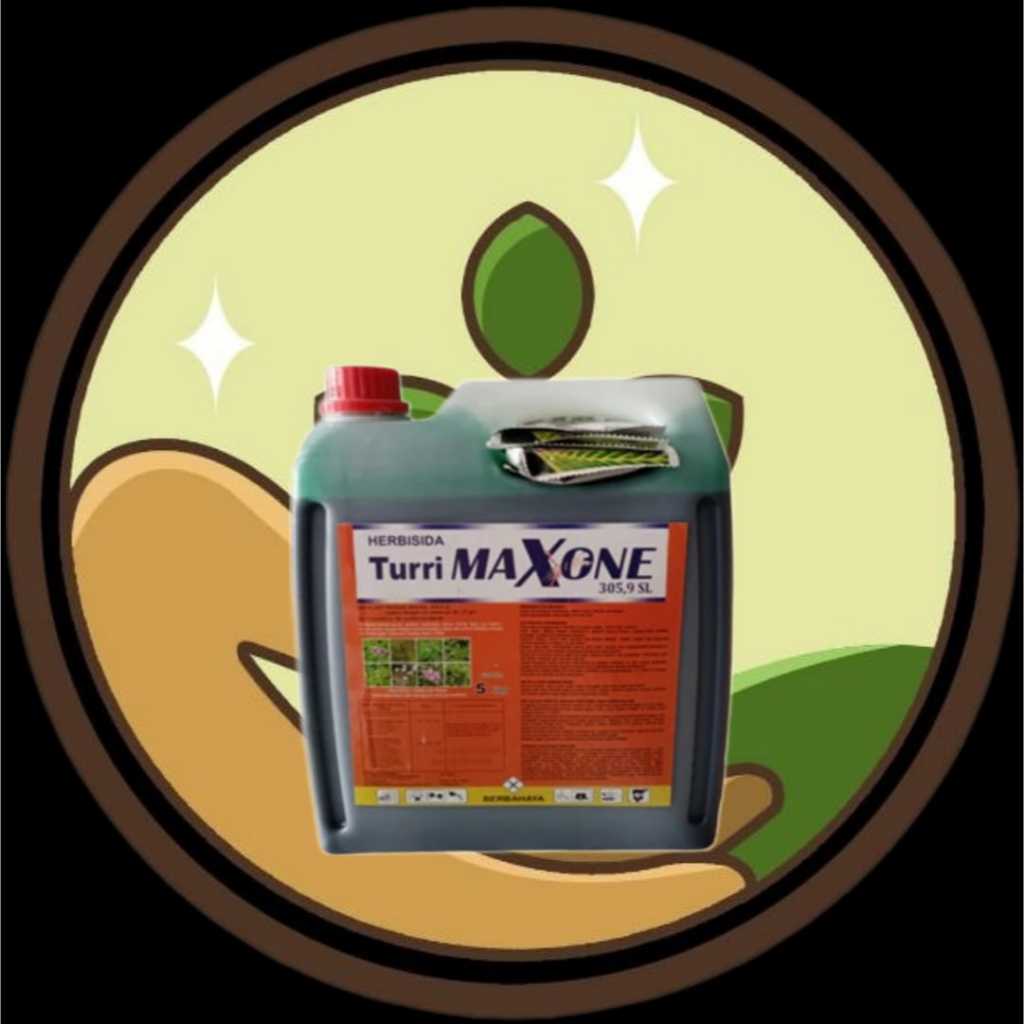 Herbisida Turri Maxone 305,9 SL @ 5 Liter
