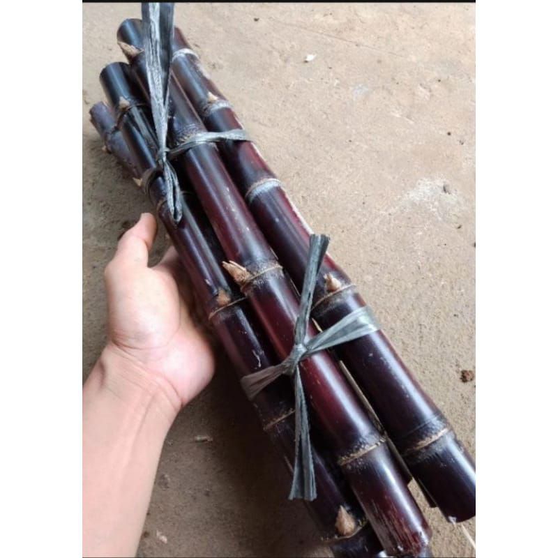 

tebu Wulung/tebu hitam/paket 1 kg original segar langsung dipetik