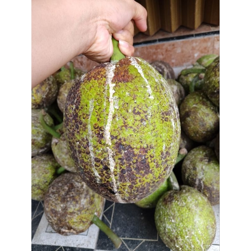 

buah sukun