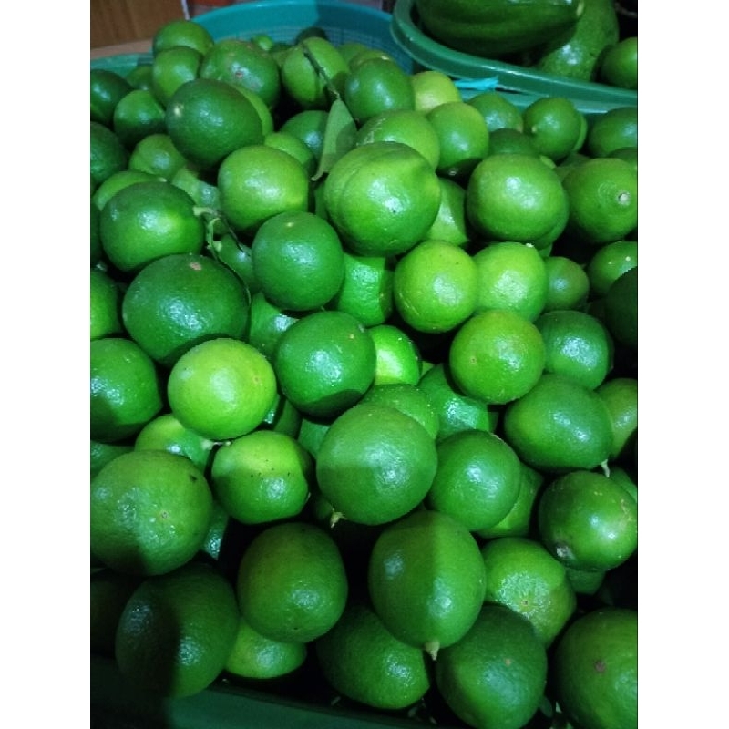 

Jeruk Nipis 1kg