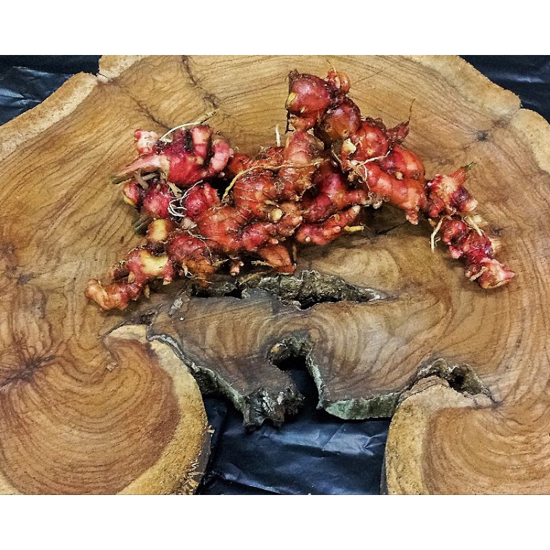 

jahe merah segar 1kg