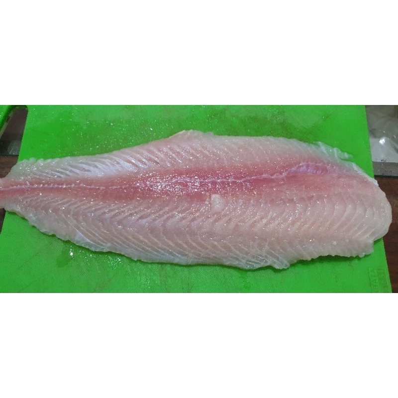 

dori fillet / patin