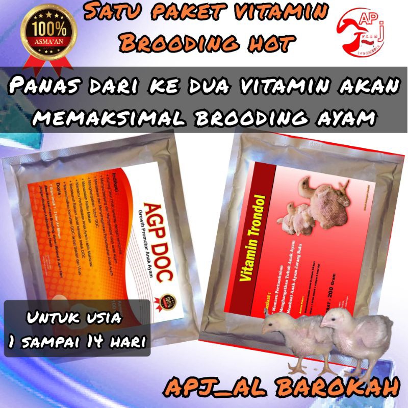 vitamin ayam#agp doc#vitamin trondol#penghangat tubuh ayam