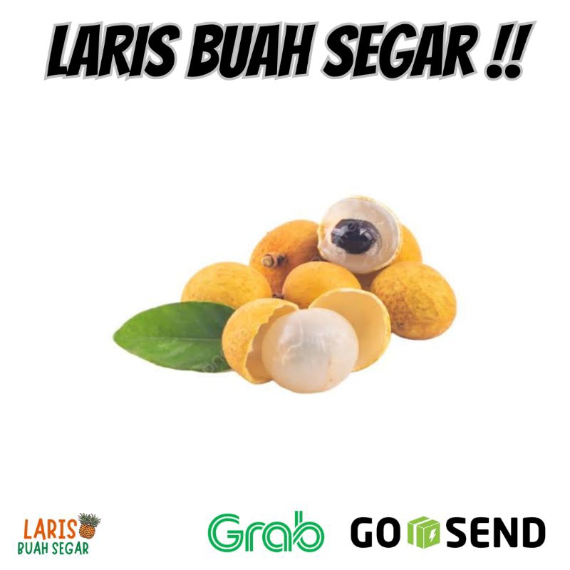 

BUAH LENGKENG BANGKOK JUMBO TANPA RANTING 500GRAM