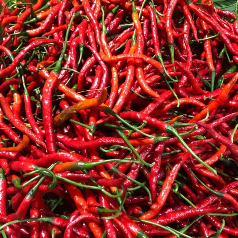 

Cabai Keriting Merah Segar Jakarta Pusat