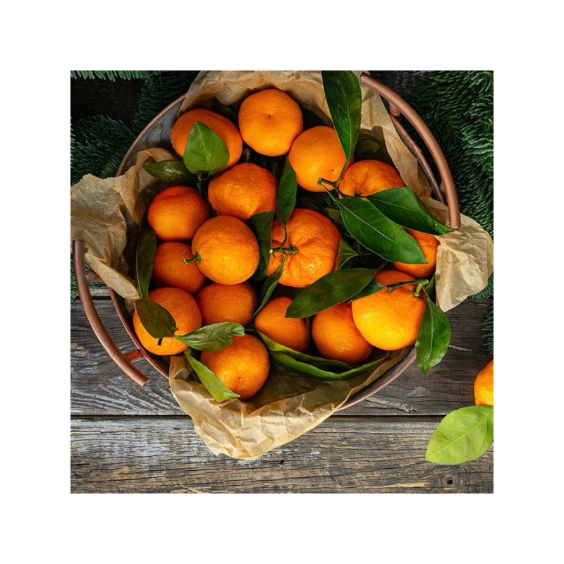 

Jeruk Santang Daun Import Premium