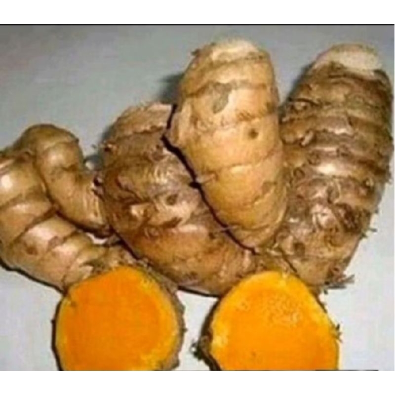

temulawak segar 1kg