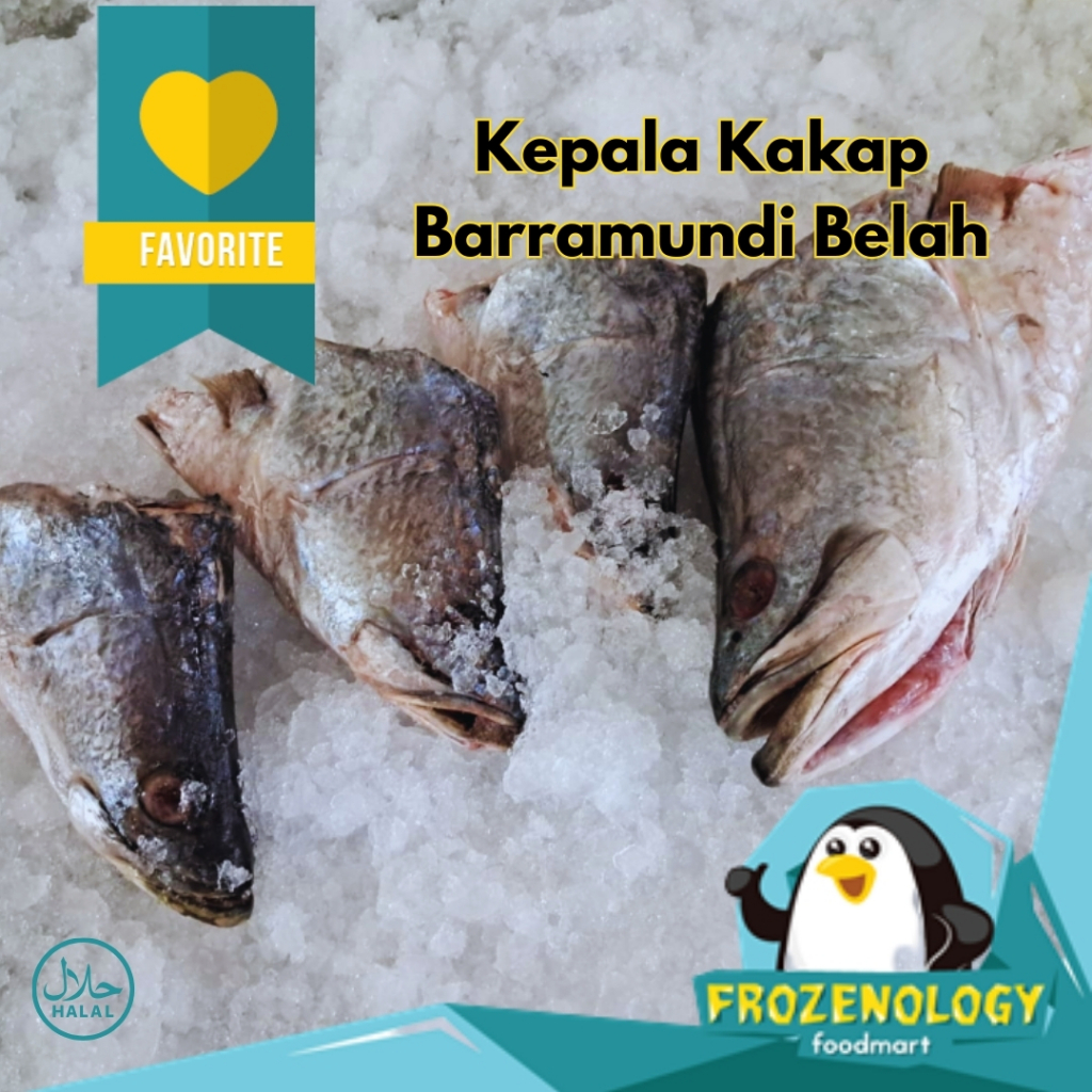 

Kepala Ikan Kakap Putih atau Kakap Barramundi Belah KG Frozen Fresh Quality