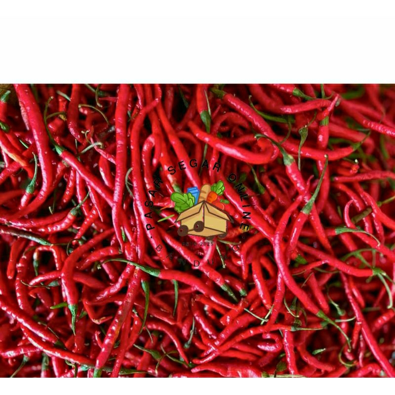 

CABE KERITING MERAH CABAI BUMBU SAYUR PASAR BAHAN MAKANAN SEGAR BANDUNG