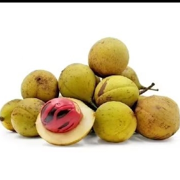 

Buah pala asli berat 1kg baru di petik