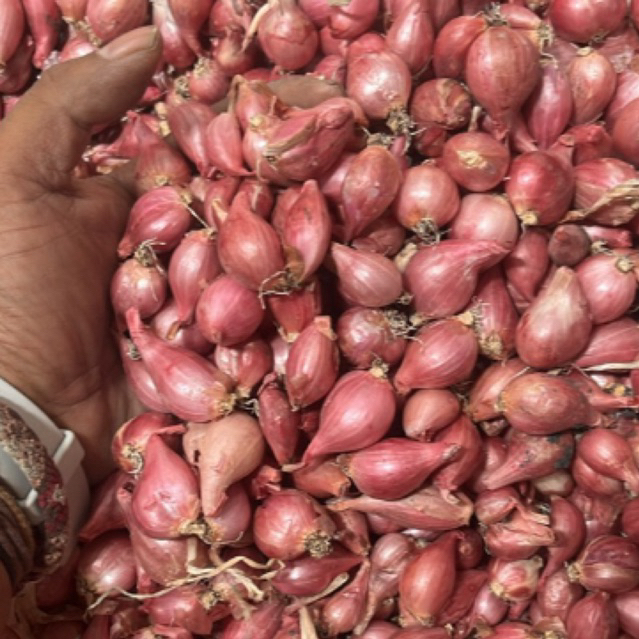 

grosir Bawah Merah Nganjuk Tanggung kecil Kering Murah Grosir 10 kg