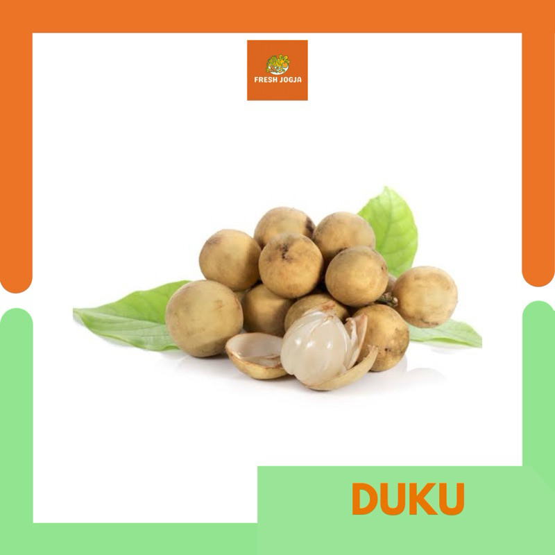 

Buah Duku per 500gr | Fresh Jogja