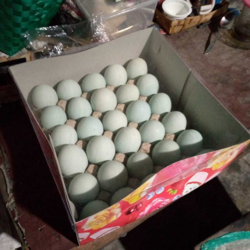 

Telur Asin Bebek Produk Lokal Isi 10 Butir